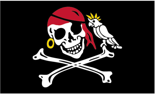Pirate Parrot Jolly Roger 3'X5' Flag ROUGH TEX® 100D