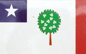 Mississippi Republic 3'X5' Embroidered Flag ROUGH TEX® 600D Nylon