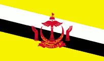 Brunei 3'X5' Flag ROUGH TEX® 68D