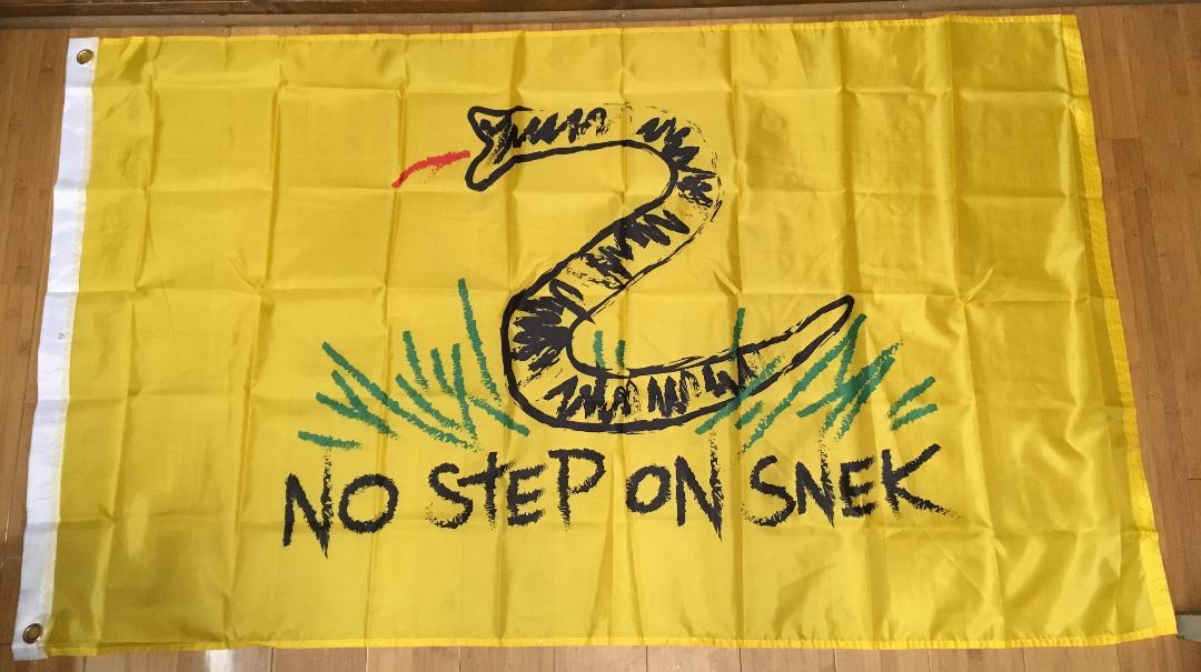 My flag design for no step on snek. Suggestions encouraged. :) :  r/azdiamondbacks