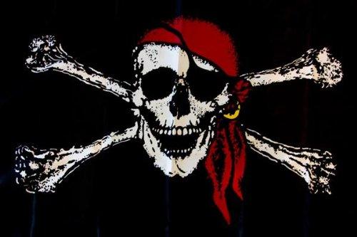 PIRATE RED HAT JOLLY ROGER BANDANA FLAG 12X18 INCH STICK FLAGS ROUGH T