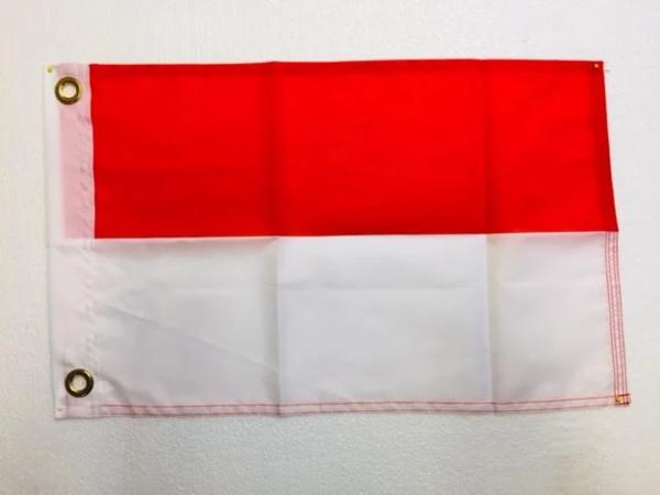 One Dozen Flags of All Nations & Countries 12x18 Inches with grommets Boat Flags Rough Tex ® Extreme International