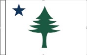 1901 Maine Proposed 12"x18" Stick Flag ROUGH TEX® 100D 30" Wooden Staff