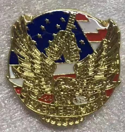 Veteran USA American Eagle Gold Lapel Pin