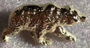 Bear Lapel Pin