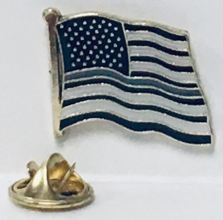 USA Corrections Wavy Lapel Pin