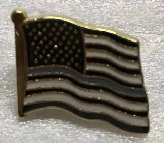 USA Corrections Wavy Lapel Pin