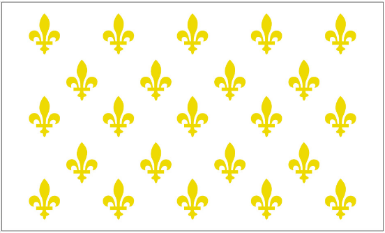 France Fleur De Lis White 23 3'X5' Flag ROUGH TEX® 100D