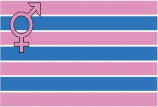 Transgender Pride 3'x5' Flag ROUGH TEX® 100D