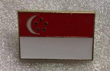 Singapore Rectangle Flag Lapel Pin