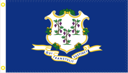 Connecticut 3'X5' Flag Rough Tex® 150D Nylon