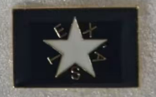 Lorenzo De Zavala Rectangle Lapel Pin