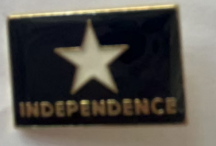 Troutman Rectangle Lapel Pin