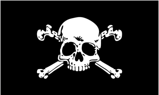 Skull & Bones Pirate 3'X5' Flag ROUGH TEX® 100D