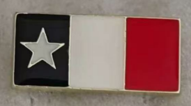 Texas Navy Rectangle Lapel Pin
