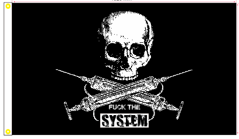 Fuck The System 3'X5' Flag ROUGH TEX® 100D