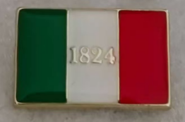 Alamo 1824 Rectangle Lapel Pin