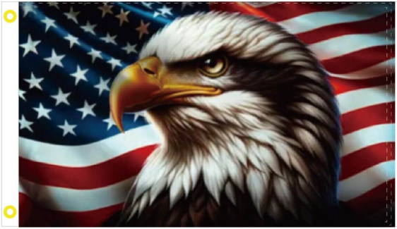 American Eagle 3'x5' Flag ROUGH TEX® 100D