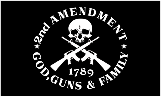 God Guns Family 2nd Amendment 1789 2'x3' Flag ROUGH TEX® 100D