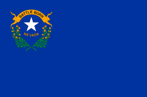 Nevada 3'X5' Double Sided Flag ROUGH TEX® Nylon 150D