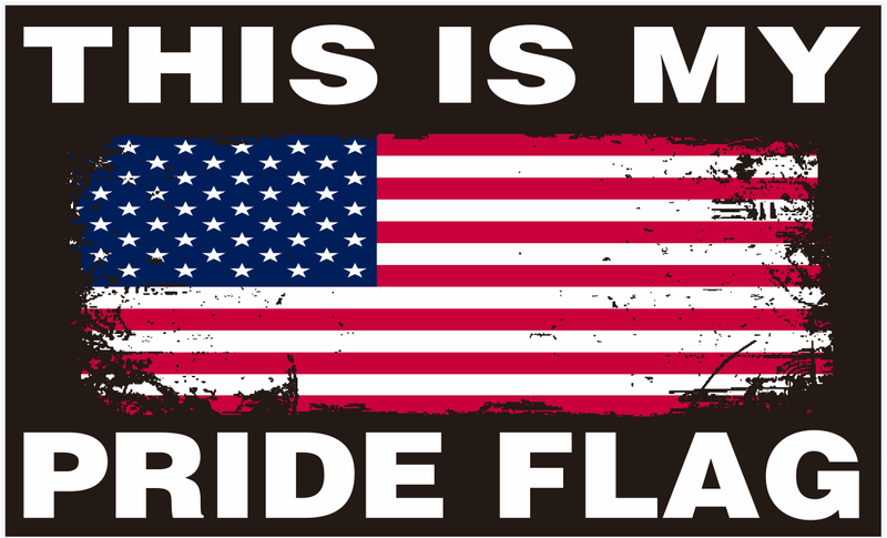 This Is My Pride Flag 3'X5' Flag ROUGH TEX® 100D