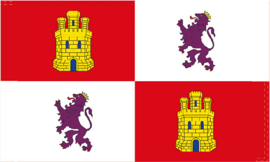 Castile & Leon 3'X5' Flag ROUGH TEX® 100D