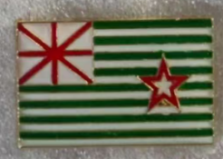Stephen F Austin Rectangle Lapel Pin