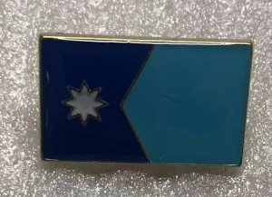 Minnesota Rectangle 2024 Lapel Pin