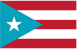 Puerto Rico Light Blue 12"x18" Double Sided Flag With Grommets ROUGH TEX® 100D