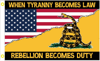 When Tyranny Becomes Law USA Gadsden 3'x5' Flag ROUGH TEX® 100D