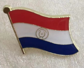 Paraguay Wavy Lapel Pin