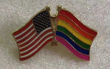 USA & Rainbow Friendship Lapel Pin