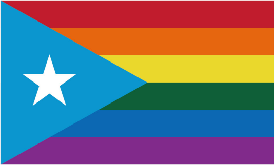 Puerto Rico Rainbow 12"x18" Double Sided Flag With Grommets ROUGH TEX® 100D