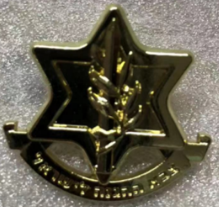 IDF Israel Defense Forces Crest Pin Israeli Military Yamam Shin Bet Badge