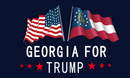 Georgia For Trump 3'X5' Flag ROUGH TEX® 68D
