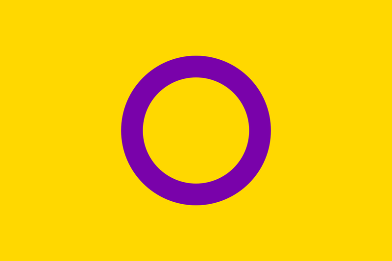 Intersex Pride 12"x18" Stick Flags Parade Rainbow Inclusive