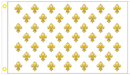 Fleur De Lis France 3'X5' Flag ROUGH TEX® 100D Kingdom of France 46 Fleurs 1789