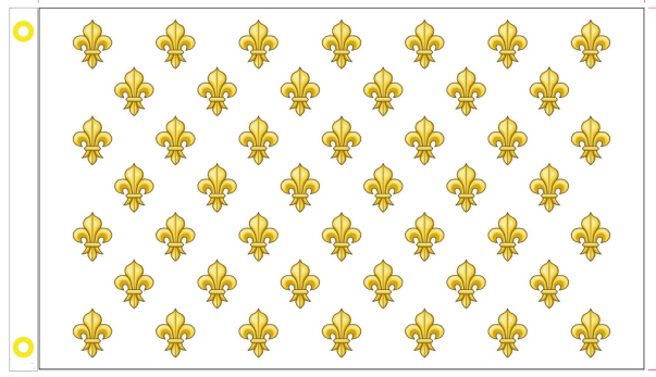 Fleur De Lis France 3'X5' Flag ROUGH TEX® 100D Kingdom of France 46 Fleurs 1789