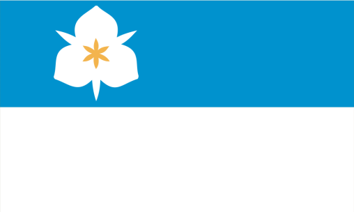 Salt Lake City 6'x10' Embroidered Flag ROUGH TEX® 300D Nylon