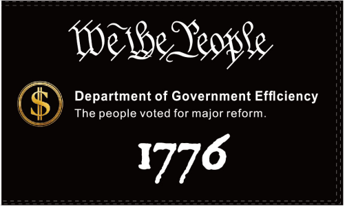 We The People Department of Government Efficiency 1776 DOGE 3'X5' Flag ROUGH TEX® 100D