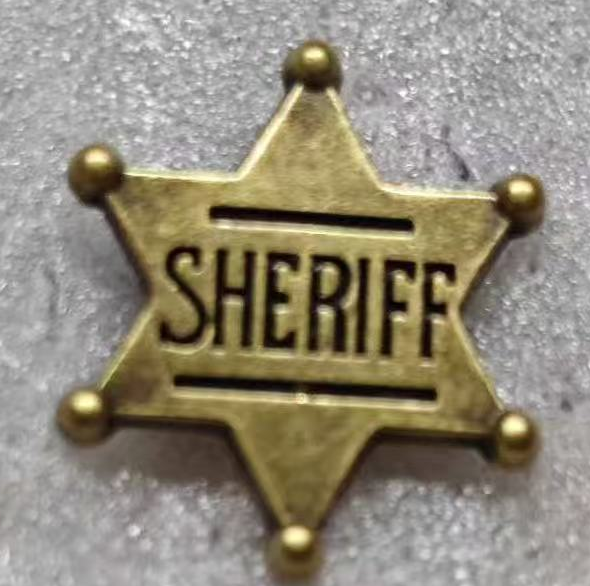 Sheriff Star Lapel Pin