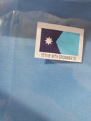 Minnesota 2024 12"x18" New State Flag Brass Grommets 100D Rough Tex new boat flag in stock