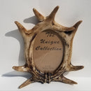 Texas & Southwestern Themed 12 Pack Picture Frames Mixed Dozen (2 of each design) Deer Antlers Lone Star Longhorn