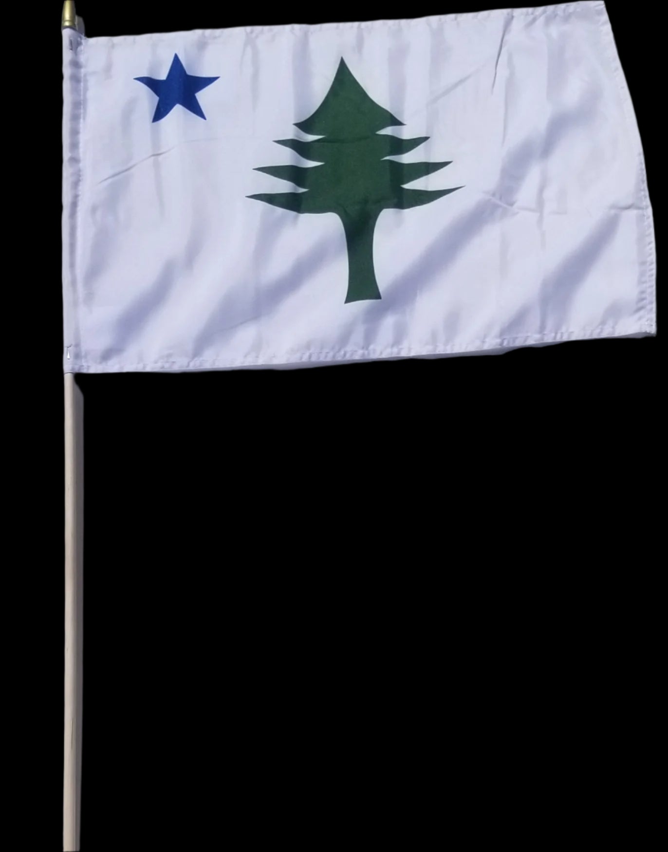 Maine 1901 New USA State Flag New England Pine Tree 12x18 Inches 100D