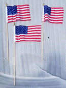 American U.S.A. 6"x9" USA Stick Flags Rough Tex® Wooden Staff Gold Spear for Parade Cemeteries Classroom Patriotic Displays