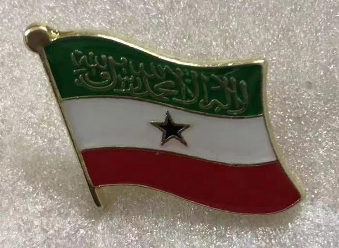 Somaliland Wavy Lapel Pin