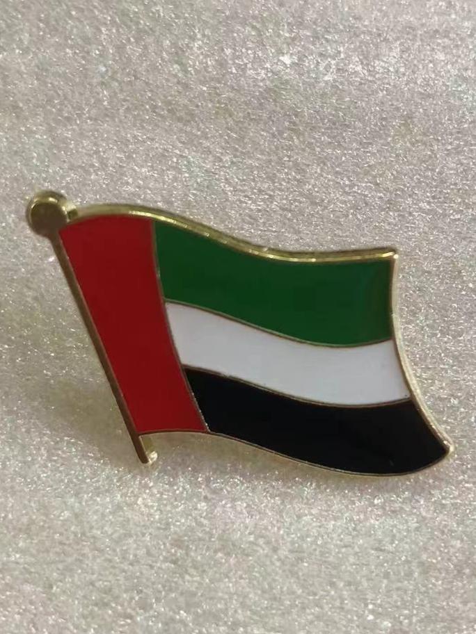 United Arab Emirates Wavy Lapel Pin