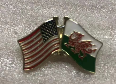 USA & Wales Friendship Lapel Pin