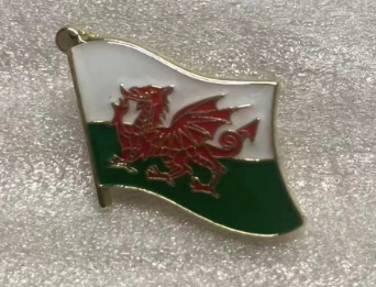 Wales Wavy Lapel Pin