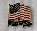 USA Veteran Wavy Lapel Pin